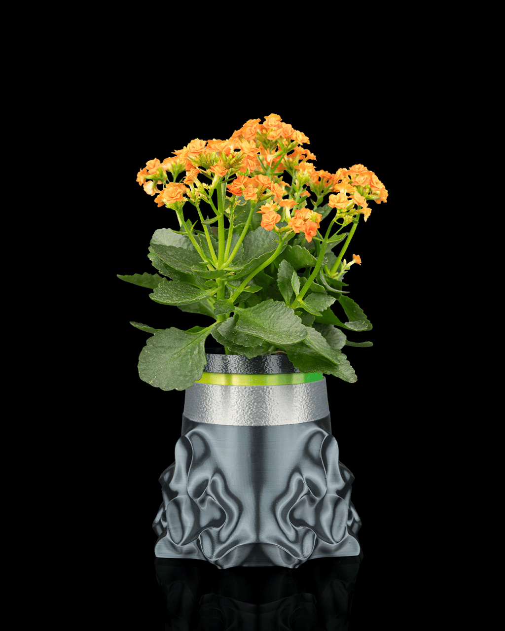 Bioforge Planter — Water-Signal Self-Watering Planter | FDM Print