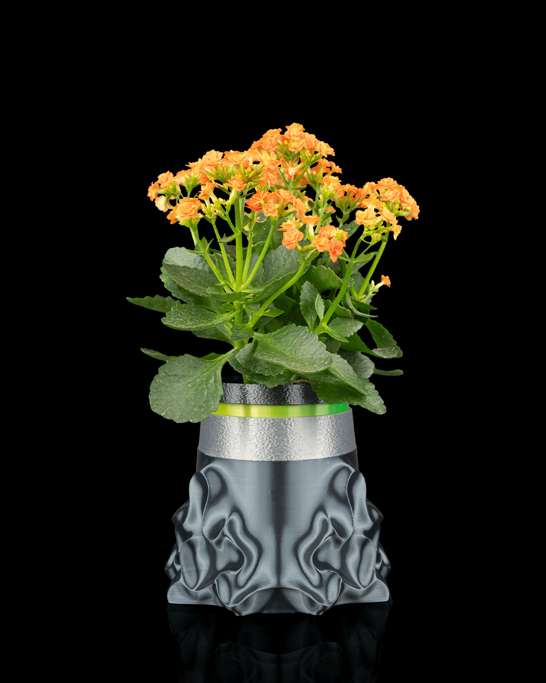 Bioforge Planter — Water-Signal Self-Watering Planter | FDM Print
