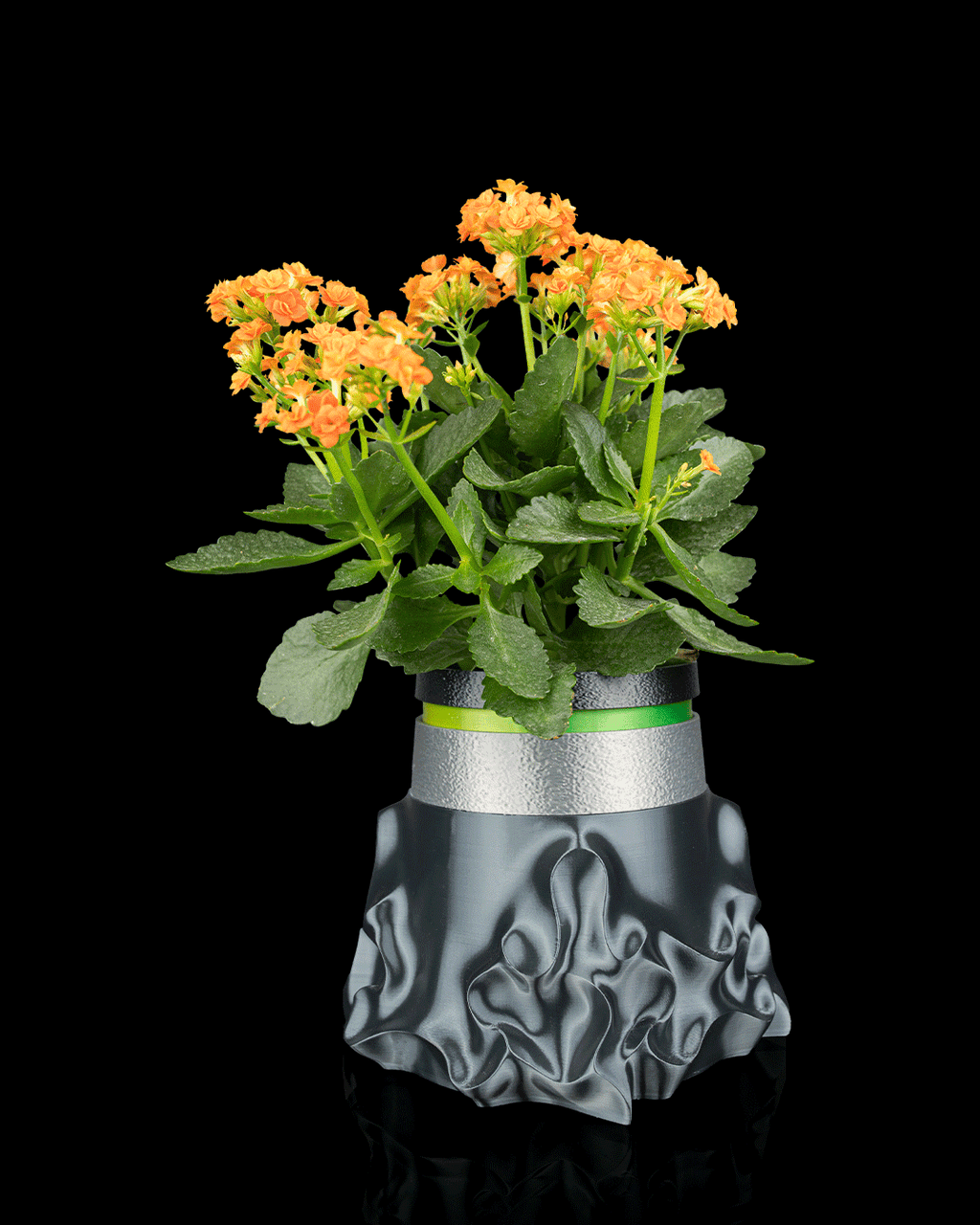 Bioforge Planter — Water-Signal Self-Watering Planter | FDM Print