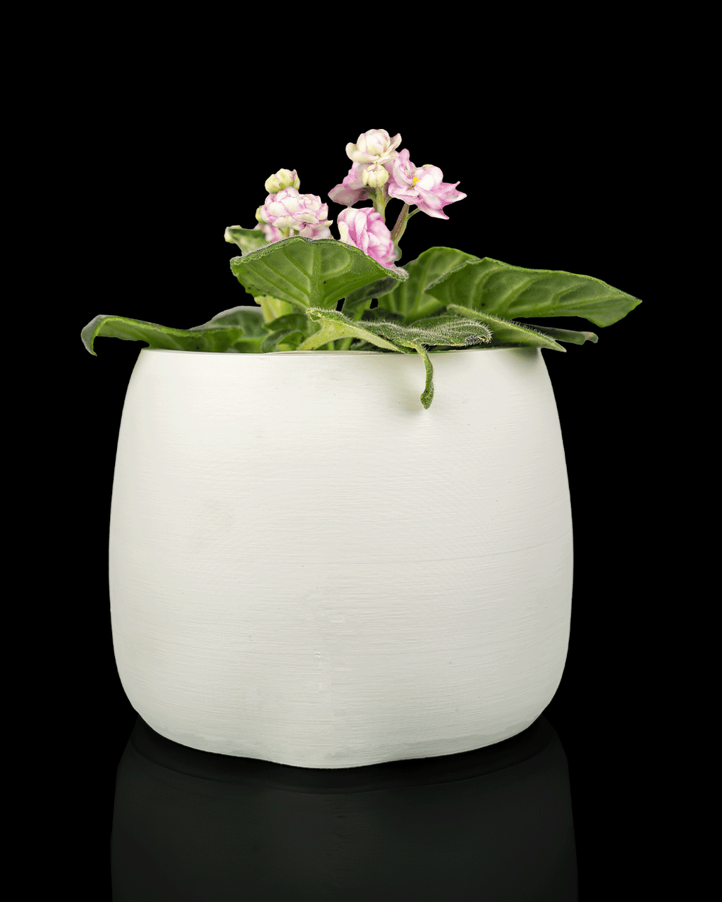 Bloop Face Planter — Mechanical Mouth Character Planter | FDM Print