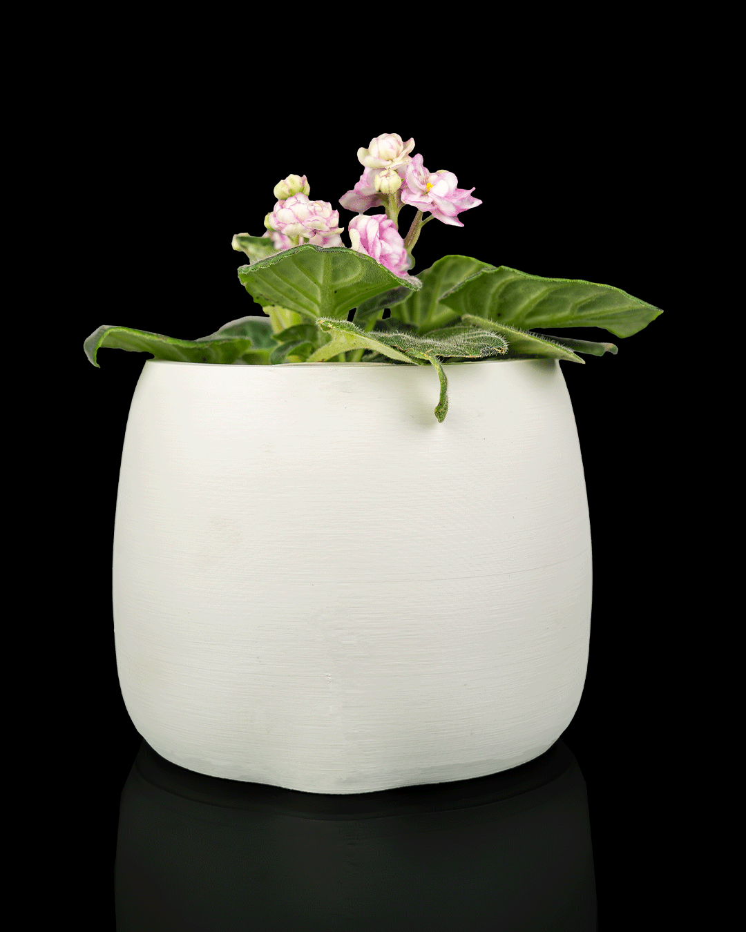 Bloop Face Planter — Mechanical Mouth Character Planter | FDM Print