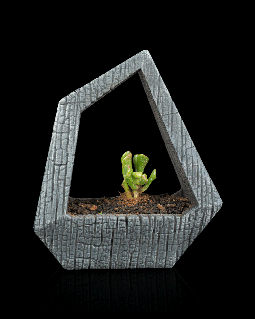 Obsidian Frame Self-Watering Planter — Geometric Sculptural Planter | FDM Print