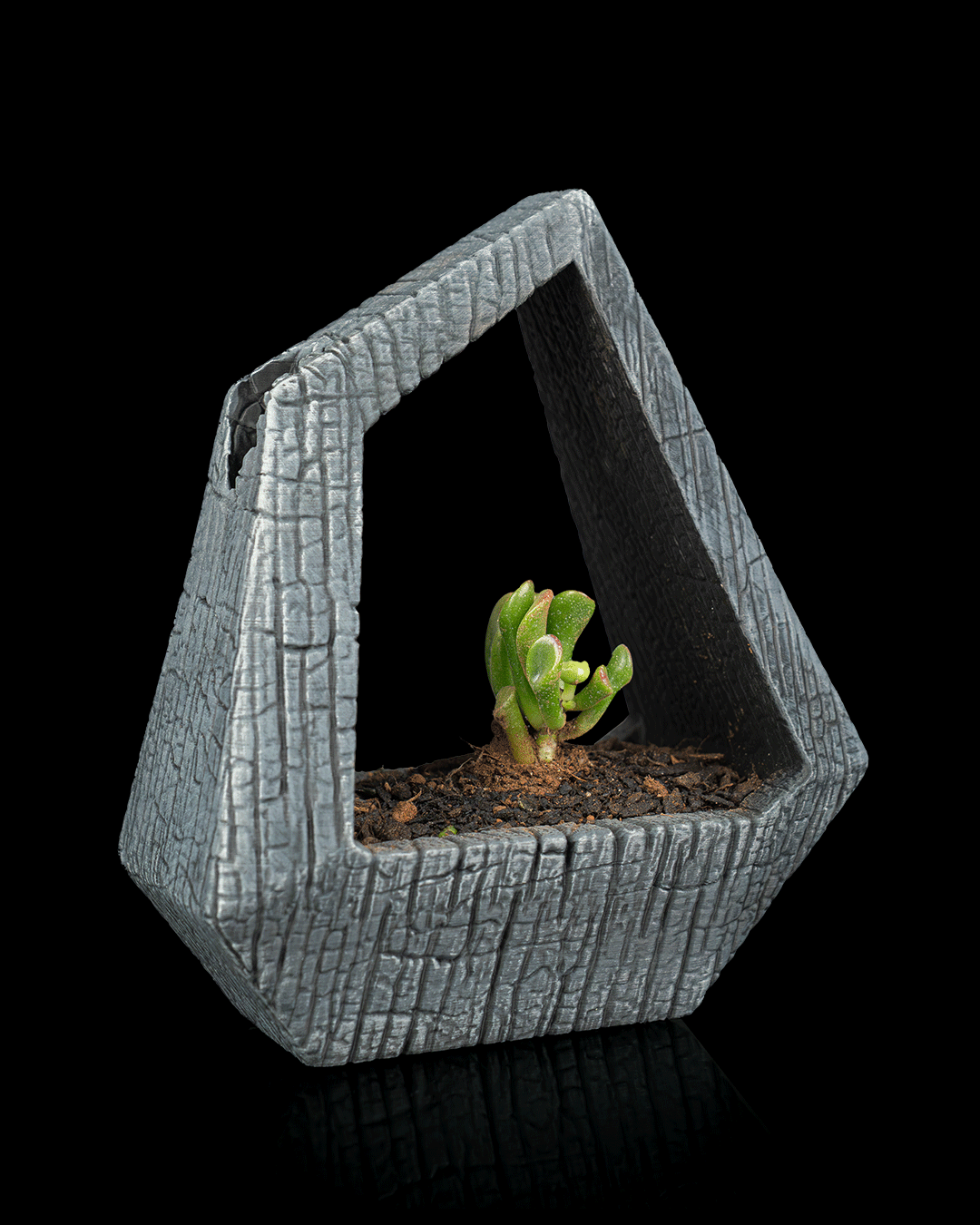 Obsidian Frame Self-Watering Planter — Geometric Sculptural Planter | FDM Print