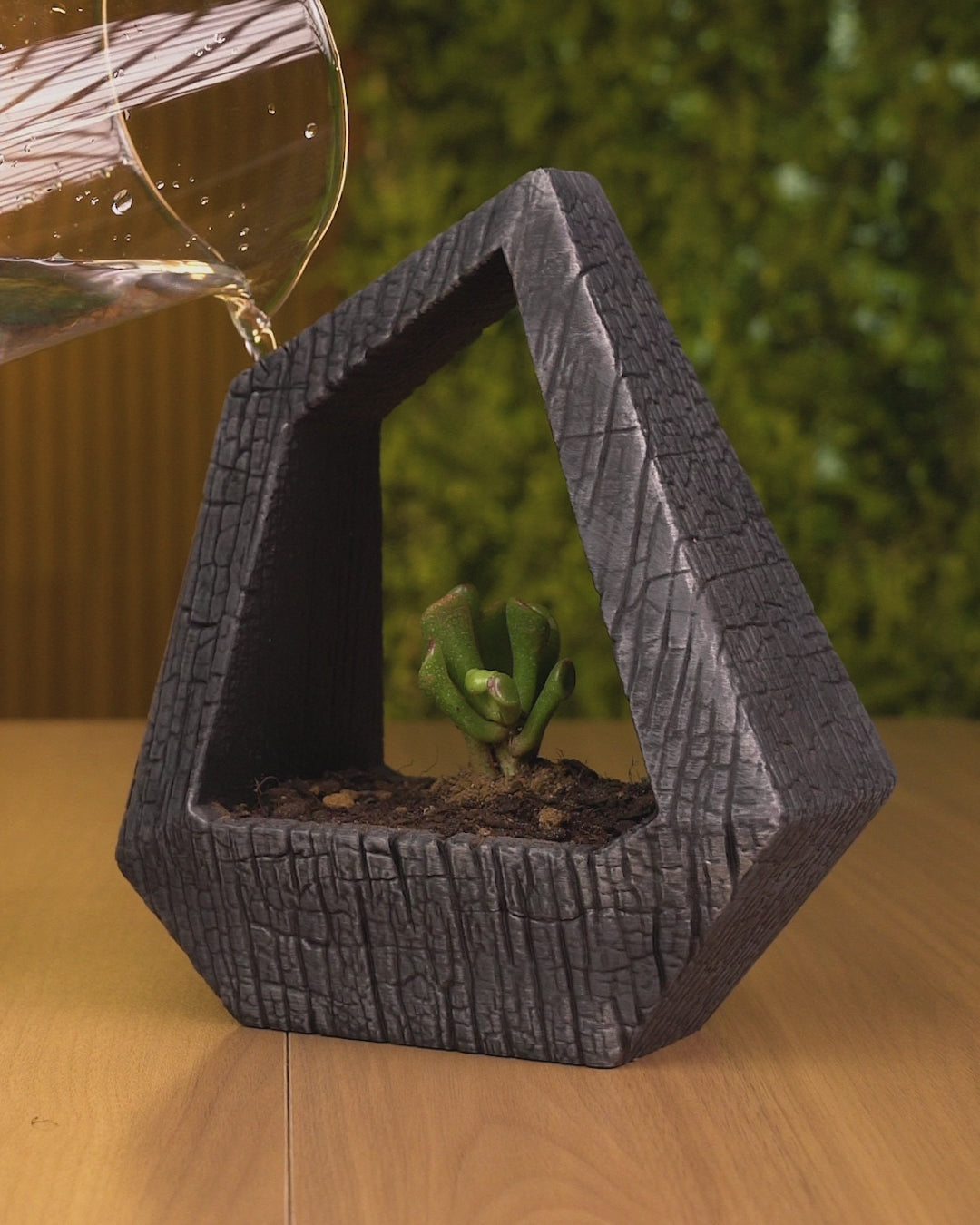 Obsidian Frame Self-Watering Planter — Geometric Sculptural Planter | FDM Print