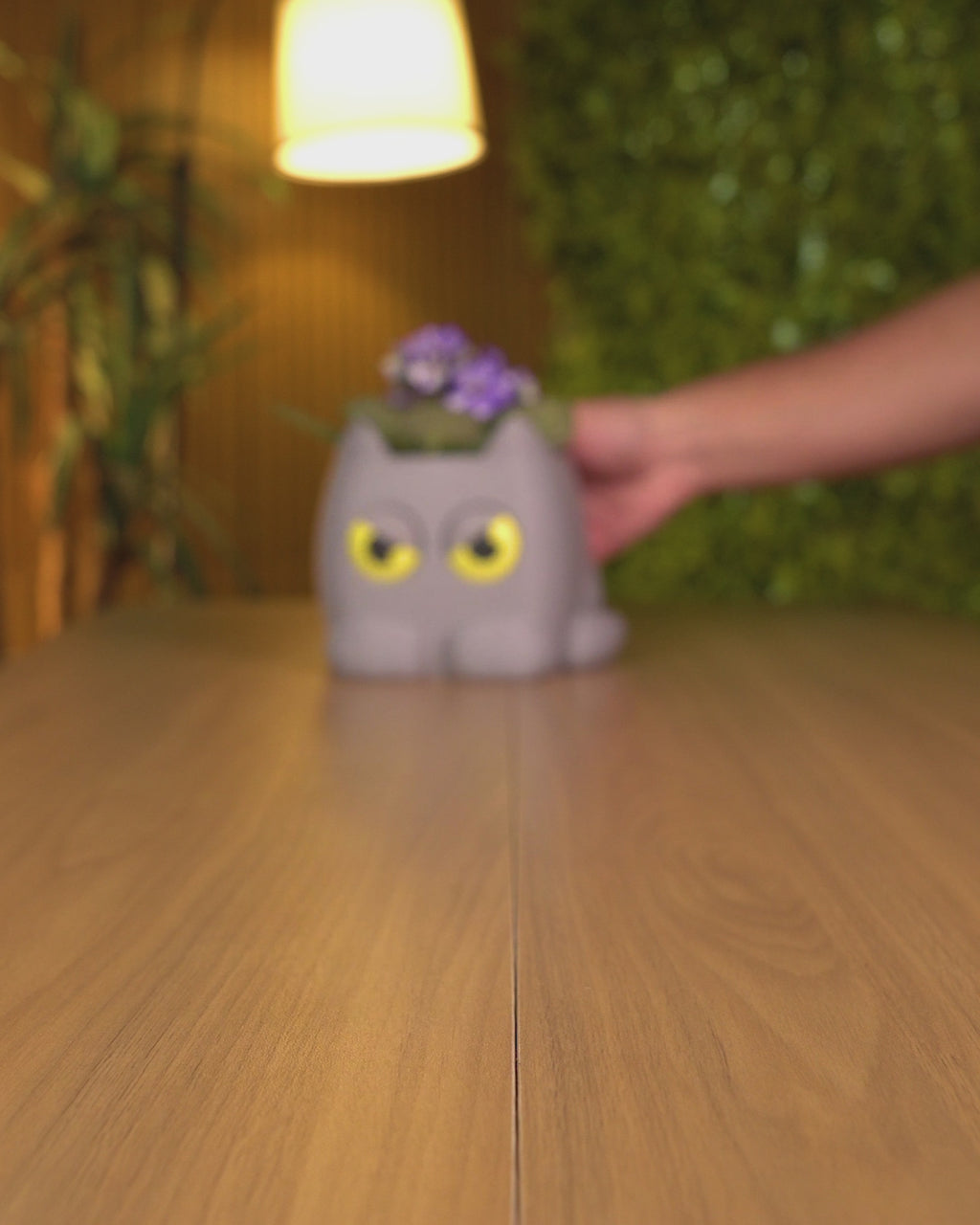Grumpy Kitty Planter — Mechanical Eye Character Planter | FDM Print