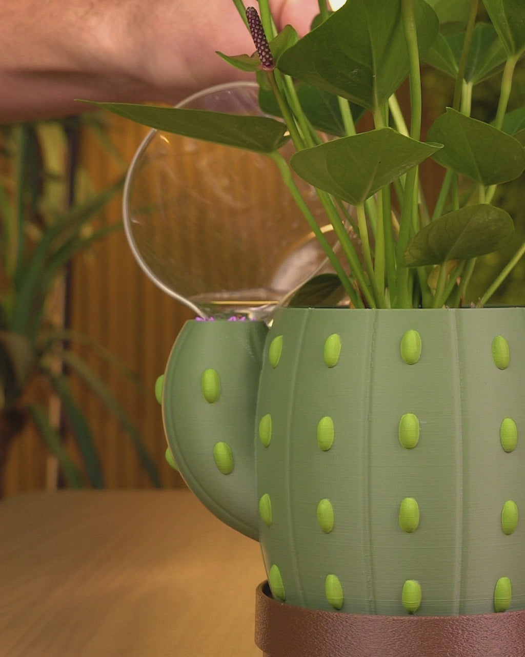 Bloom Signal Planter — Water Level Indicator Cactus Planter | FDM Print