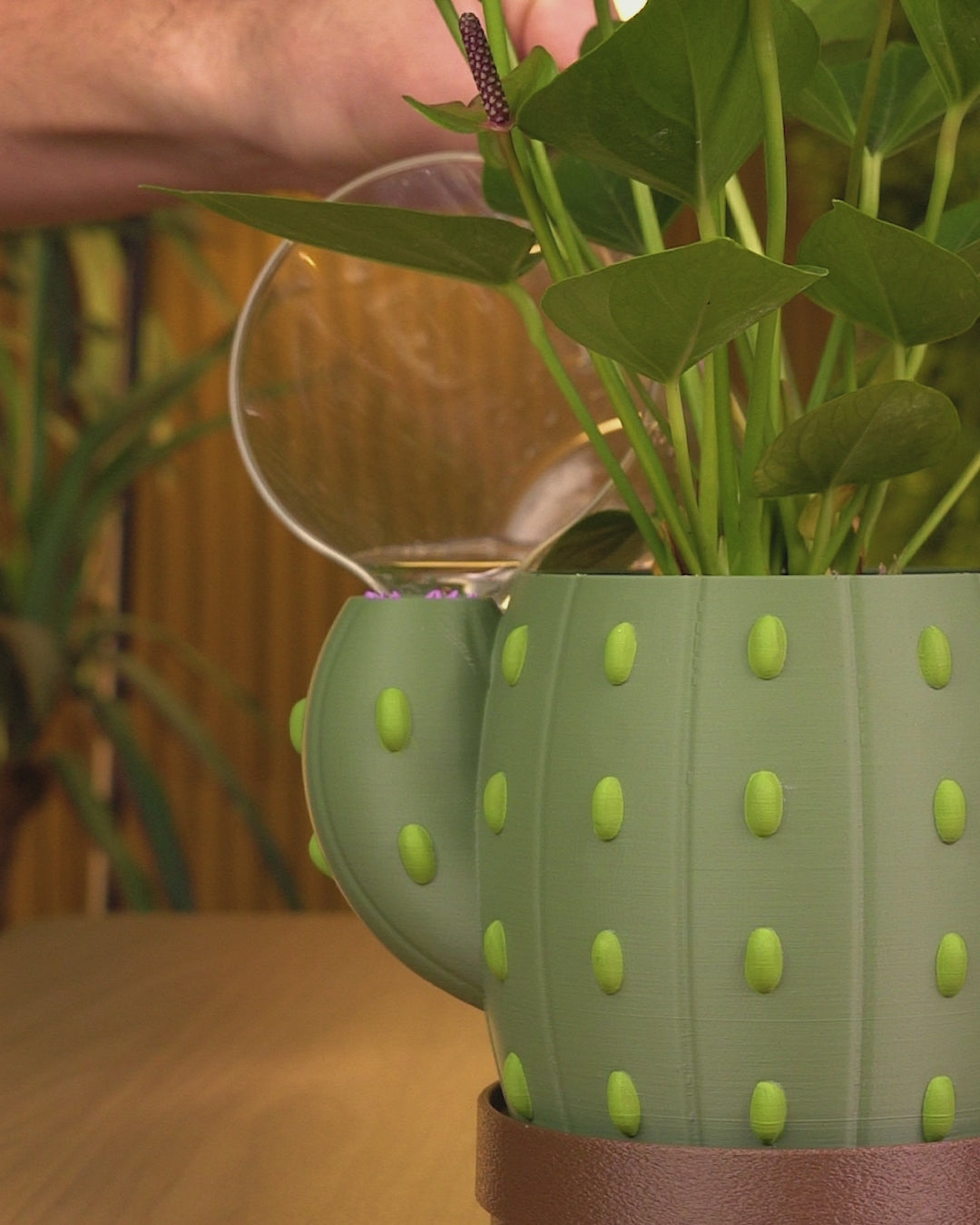 Bloom Signal Planter — Water Level Indicator Cactus Planter | FDM Print